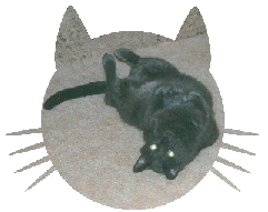 Loki, upside down